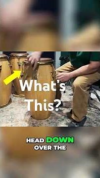 Get to Know the Conga Drum 🌎