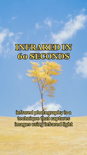Infrared photography explained in 60 seconds! Follow for more educational photograpjy content!!! #infrared #infraredphotography #photography #fyp