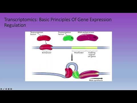 Bioinformatics Lecture 17: Transcriptomics
