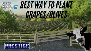 6.5K views · 222 reactions | Watch this video to find out how to plant grape vineyards & olive orchards the BEST way possible in Farming Simulator 22! Catch me live every day here on FB at 10AM & 8PM EST! | Prestige | Facebook