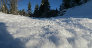 Météorologie Formation, présence de plastique, records... Cinq faits sur la neige