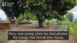 74 reactions · 14 shares | For just €5 you can plant 1 native tree in Ireland. And for every 1 tree planted in Ireland, we'll plant 10 in Africa!  | Self Help Africa | Facebook