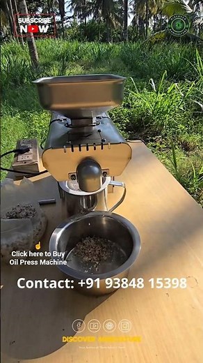 Mini Oil Press Machine