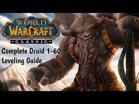 Druid Classic WoW leveling Guide , Class quests, Macros, Addons, Mobility, Stats