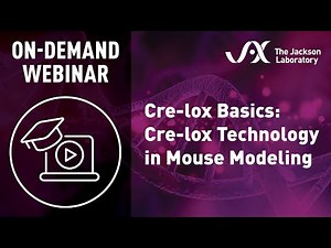 Cre-lox Basics: Cre-lox Technology in Mouse Modeling