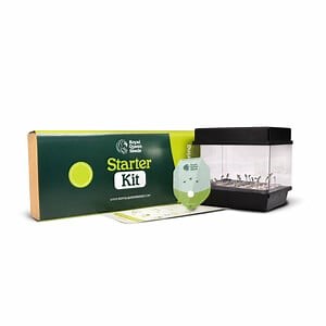 Buy The Autoflower Cannabis Seed Starter Kit - Royal Queen Seeds