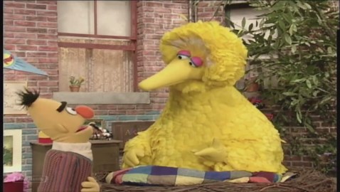 Sesame Street Journey To Ernie segments