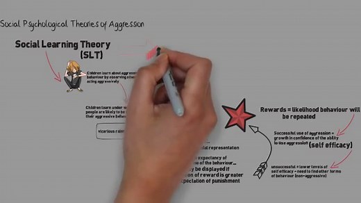The 4 main theories of aggression: how is aggression explained?