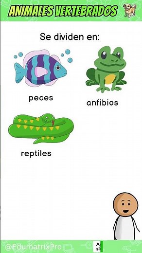 Animales vertebrados