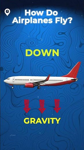 How Do Airplanes Fly? Simple Science Explained ✈️ | International Schooling