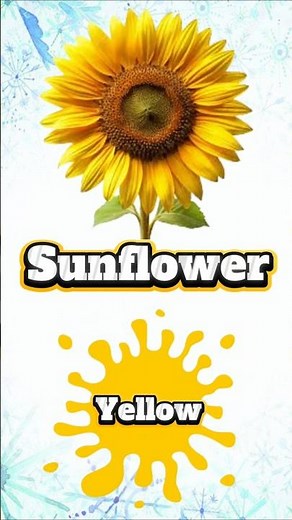 🌈 Learn Colors in English: 10 Color Names! 🎨✨