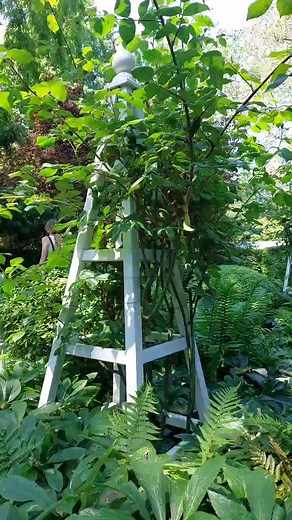 9.2K views · 773 reactions | London Open Gardens weekend | Wonders of London | Facebook