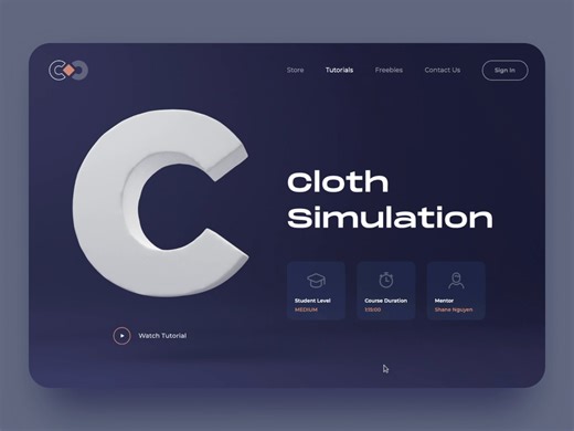 Cloth Simulation