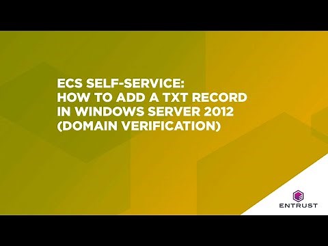 ECS Self-Service: How to add a TXT record in Windows Server 2012 (domain verification)