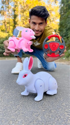 Pink and White Remote Control Khargosh Aisa 😱🔥