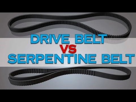 Drive Belt Vs Serpentine Belt - Are They The Same?