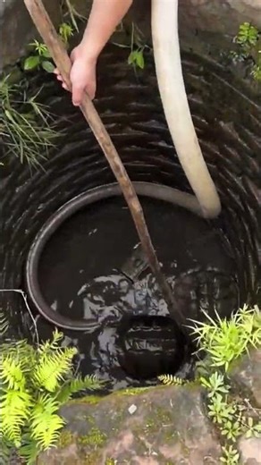 The process of catching alligator snapping turtle in a deep well