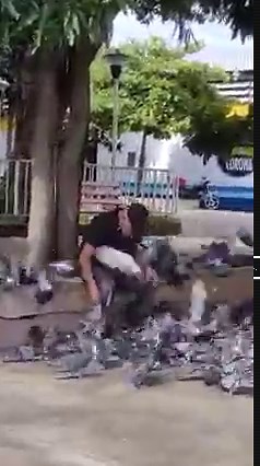 🕊🤲🏻💛En el departamento de Santa Ana, se encuentra Galdámez Ochoa, un señor que refleja su alegría y bondad al llegar a alimentar las palomitas afuera del Hospital San Juan de Dios.🕊🤲🏻💛 | Código 21