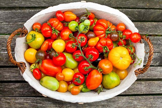 How to Preserve Tomatoes in 7 Ways