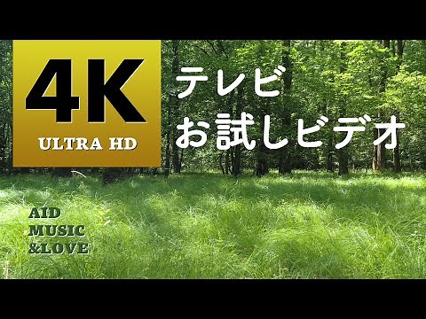 📺 4K TV trial video Check the beauty of 4K images on YouTube, nature, plants, animals 4K ULTRA HD