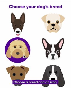 🐶 Select your pet 🐱 Choose a breed and an icon 📝 Tell us your pet's name ✨ The entire shop is personalised just for you | yappy.com