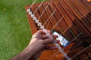 How To Scare Away Pigeons But Not Other Birds: UK (15 Ways)