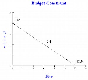 Solving a budget constraint problem in economics