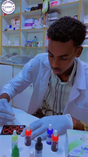 Serology Training for Students in the Laboratory