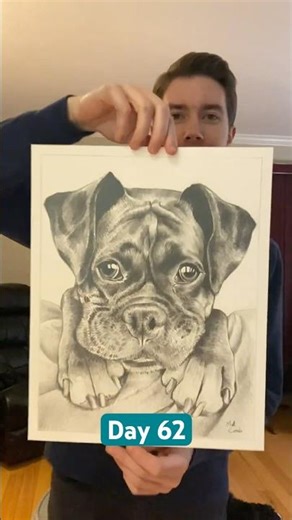 Day 62 | My Boxer Puppy Drawing 🐶 #boxerdog #animalart #art