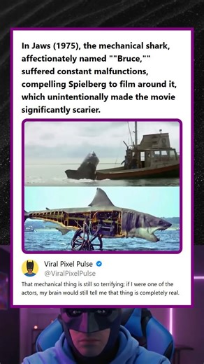 Jaws 1975 Mechanical Shark Bruce Kept Breaking Down Making the Movie Scarier