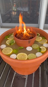 you need this ASAP! (DIY Bug Repellents) this original video was produced by rick lax network media and brooklyn b | Hackity Hack Club