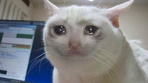 Crying Cat | Know Your Meme