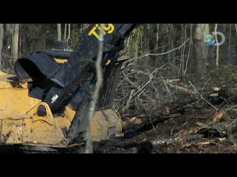 Swamp Loggers - Waterlogged Nightmare | Sink or Swim