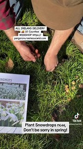 146 reactions | Plant Snowdrop bulbs from now for very early spring flowering. Planting time is from now, available in web shop ALL IRELAND DELIVERY  32 Counties WEBSHOP https://pergolanurseries.ecwid.com Pergola Nurseries Garden Corner, Virginia,Co Cavan A gardeners oasis of quality plants Open Tuesday to Saturday 10.30-6 Open Sundays 2-6 | Pergola Nurseries Garden Corner | Facebook