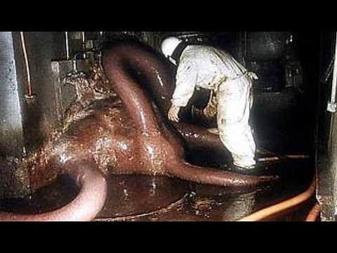 Chernobyl's Craziest Animal Mutations Caught On Camera