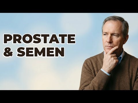 How Does Prostate Function Relate to Semen?