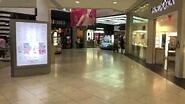 Thriving Mall- Perimeter Mall ATL