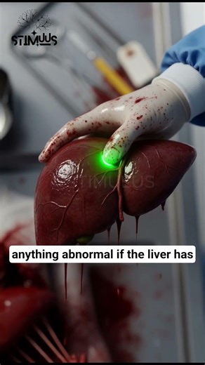 What Actually Happens to Your Body During an Autopsy 😱 AI Animation Explained