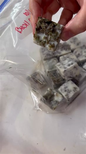 1.7K views · 921 reactions |  Basil doesn’t like the cold! Before...