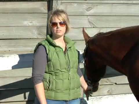 How to Adjust the Stirrups on a Western Saddle