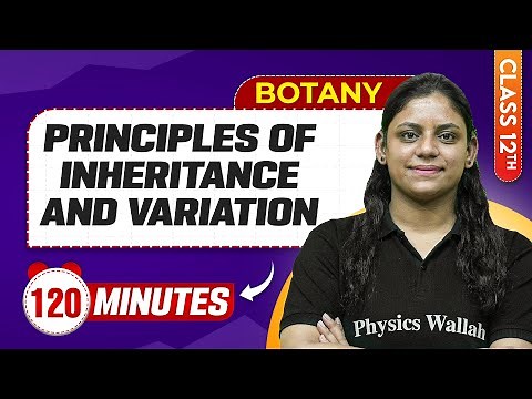 Principles Of Inheritance And Variation in 120 Minutes | Class 12th Botany | Mind Map Series