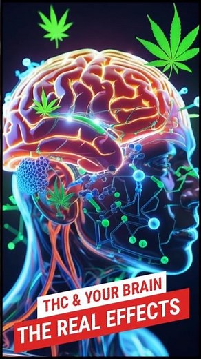 THC Effects, Potency, Age, Frequency & Mixing Dangers. #short #Cannabis