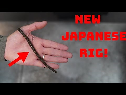 First Look At The New Japanese Finesse Rig! The Inu Rig!