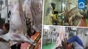 891 reactions · 169 shares | Sacrifice For Allah... Meat For The...