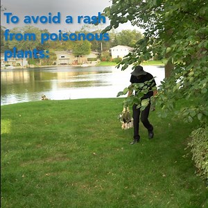 3K views · 36 reactions | Some skin rashes are more common in the summer, but proper treatment can keep them from interfering with your fun. | American Academy of Dermatology | Facebook