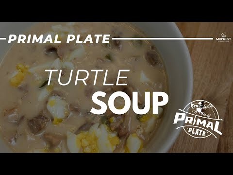 How To Cook Snapping Turtle