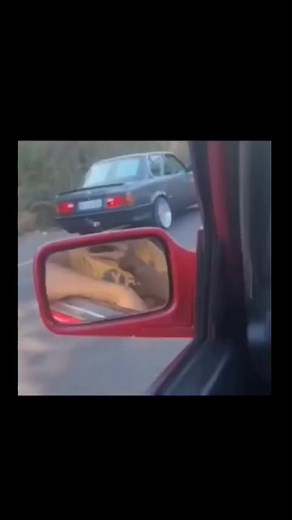 10K views · 406 reactions | Torque Driven on Reels | Facebook