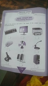 Computer Science Worksheet - Input, Output and Processing Devic... | Filo