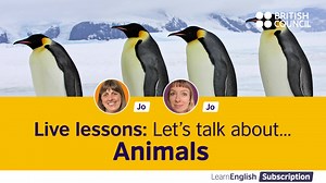 8.4K views · 325 reactions | Join our expert teacher, Jo, as she talks to (a different!) Jo about animals. Learn lots of useful language, and practise using it during the live lesson! Click here to find out all about our LearnEnglish Subscription online courses: https://bit.ly/LESubscribeNow1 | LearnEnglish – British Council | Facebook