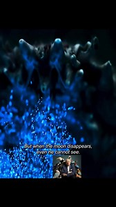 11K views · 266 reactions | This how commons cuttlefish lay their eggs #lifeunderwater #animals #fish #documentary #fishlife #cuttlefish | Animal Documentary | Facebook